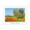 Olive tree in poppy field, Tuscany white postcard