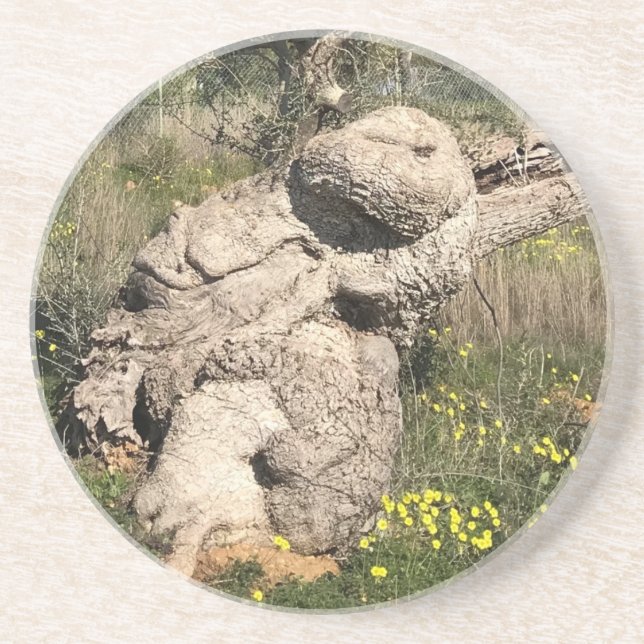 Olive Tree in Yoga Position  Coaster (Front)