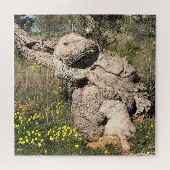 Olive Tree in Yoga Position  Jigsaw Puzzle (Horizontal)
