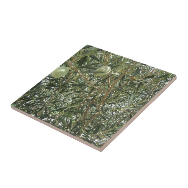 Olive Tree Leaves Ceramic Tile (Side)