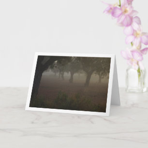 Olive Tree Orchard on a Foggy Morning Card