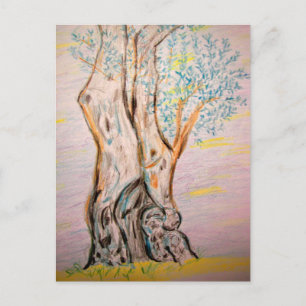 Olive Tree Peace Postcard
