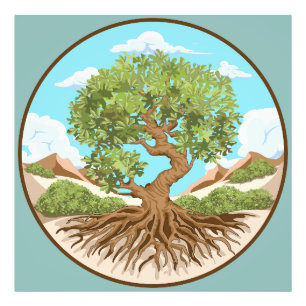 Olive tree Peace symbol in a free Palestine Land Photo Print