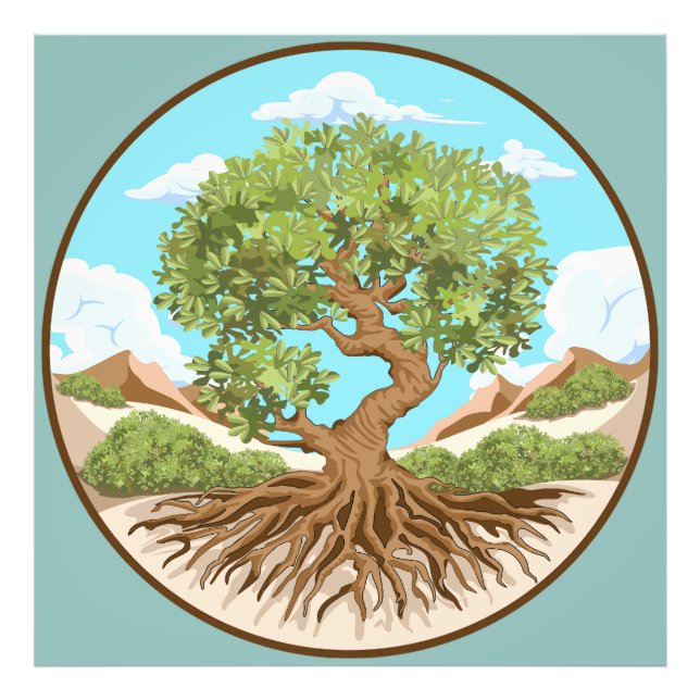 Olive tree Peace symbol in a free Palestine Land Photo Print (Front)