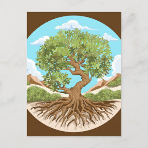 Olive tree Peace symbol in a free Palestine Land Postcard