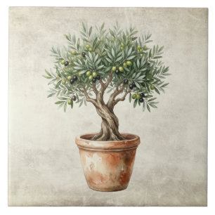 Olive Tree Topiary Mediterrean Watercolors Rustic Ceramic Tile