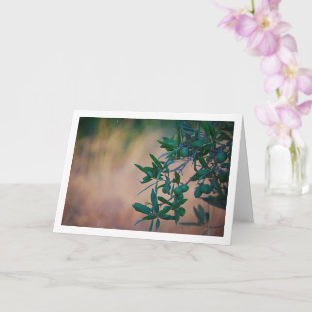 Olive Tree with Blurred Background Card (Orchid)