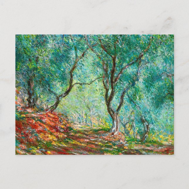 Olive Tree Wood in the Moreno Garden, 1884 Postcard (Front)