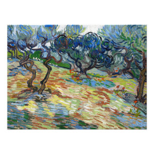 Olive Trees by Vincent van Gogh Photo Print