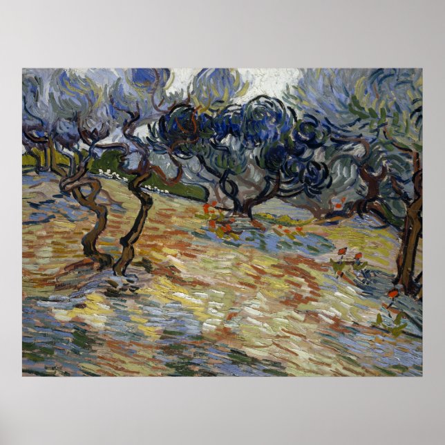Olive Trees by Vincent Van Gogh Poster (Front)