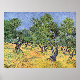 Olive Trees by Vincent van Gogh Poster