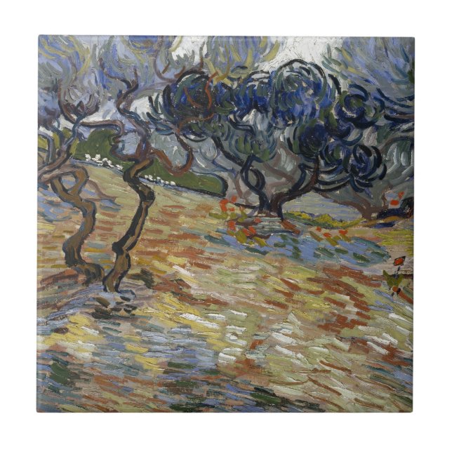 Olive Trees by Vincent Van Gogh Tile (Front)