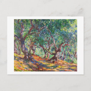 Olive Trees in Bordighera, 1884 Claude Monet Postcard