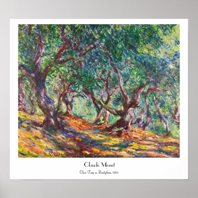 Olive Trees in Bordighera, 1884 Claude Monet Poster (Front)