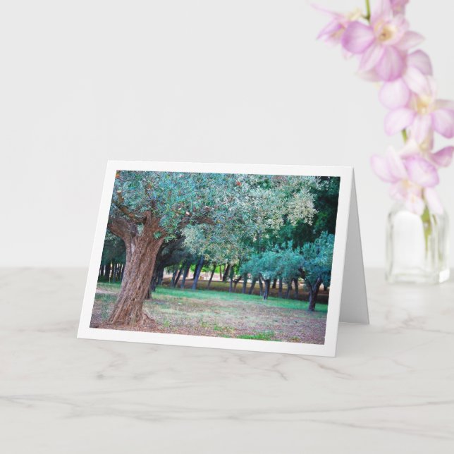 Olive Trees in Park Card (Orchid)