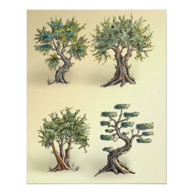 Olive trees in Provence pruned. Poster (Front)