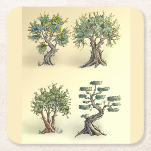 Olive trees in Provence pruned. Square Paper Coaster