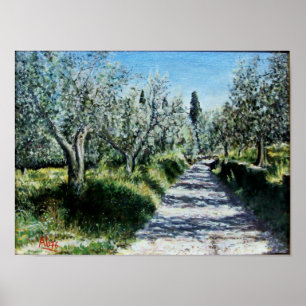 OLIVE TREES IN RIMAGGIO POSTER