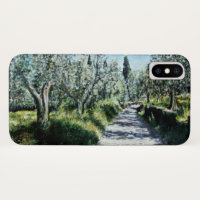 OLIVE TREES IN RIMAGGIO Tuscany Landscape