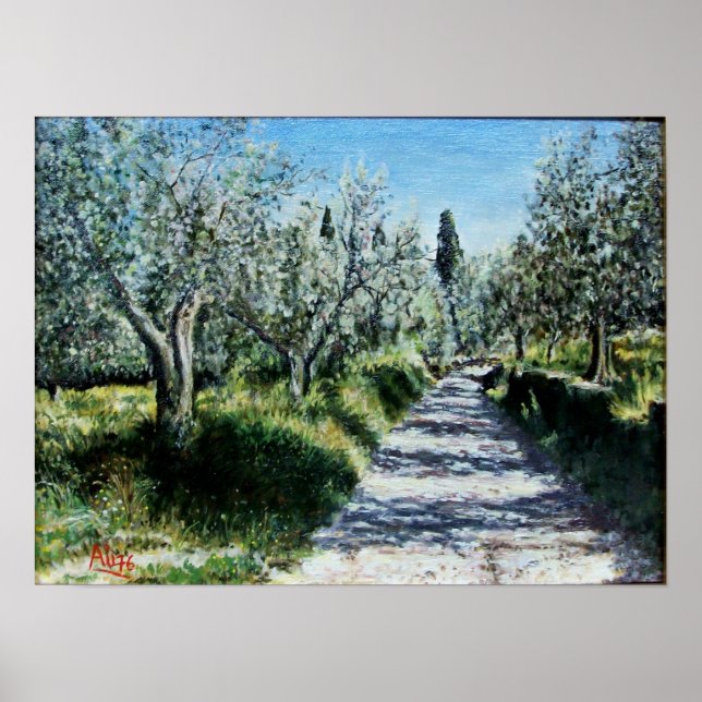 OLIVE TREES IN RIMAGGIO Tuscany landscape Poster (Front)