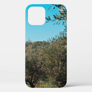 Olive trees in the Apulian landscape in autumn. ag iPhone 12 Case