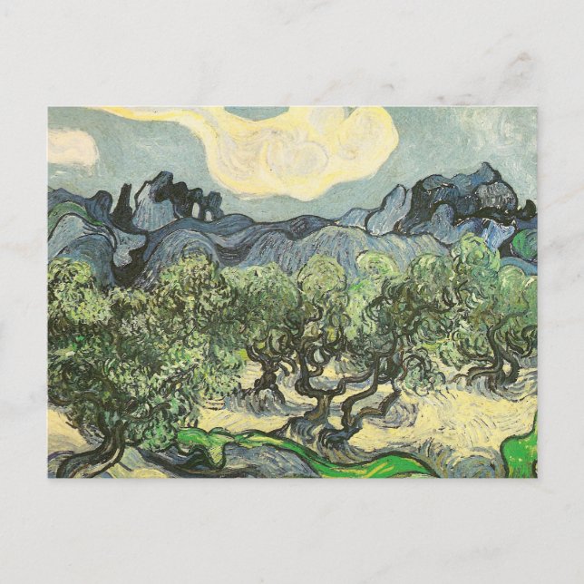 Olive Trees, Mountain Landscape Van Gogh Fine Art Postcard (Front)