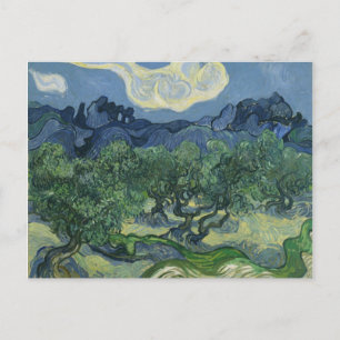 Olive Trees Postcard