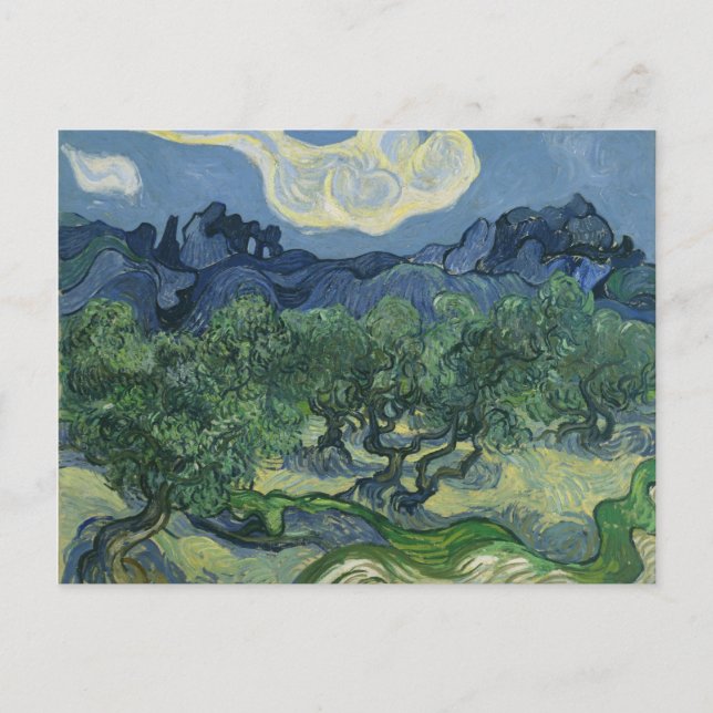 Olive Trees Postcard (Front)