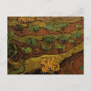 Olive Trees Slope of Hill Van Gogh Fine Art Postcard