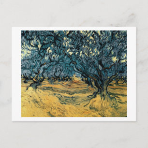 Olive Trees, Vincent van Gogh Postcard