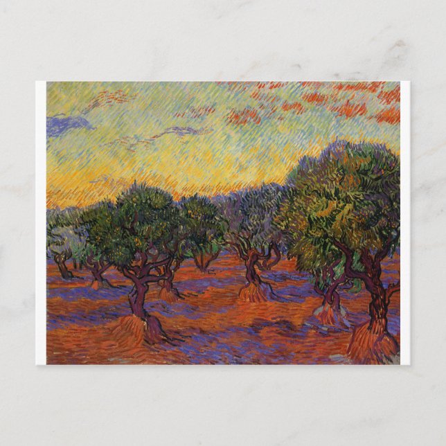 Olive Trees - Vincent Van Gogh Postcard (Front)