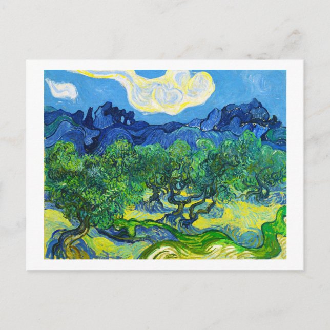 Olive Trees with the Alpilles in the Background Postcard (Front)