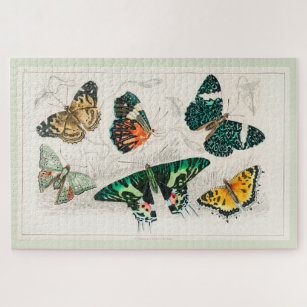 Oliver Goldsmith Antique Butterflies Jigsaw Puzzle