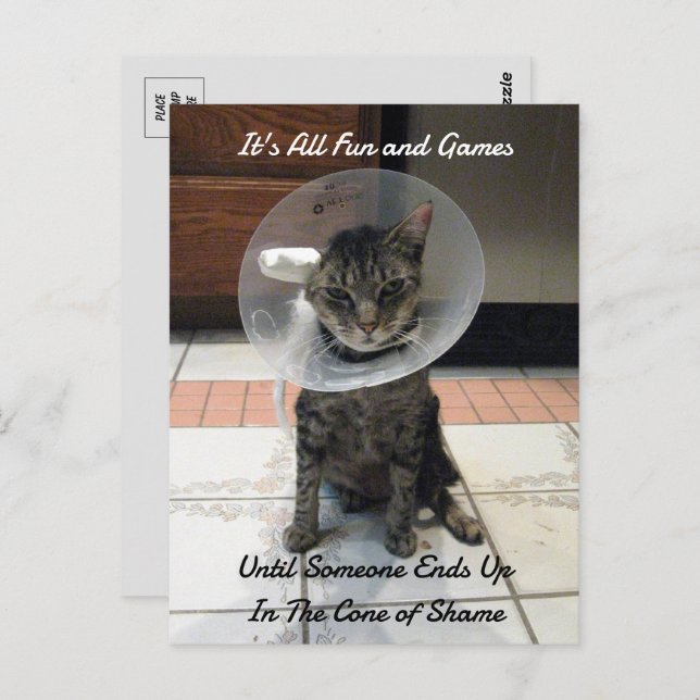 Oliver The Cats Cone of Shame  Postcard (Front/Back)