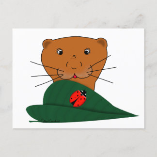 Oliver The Otter Studies a Ladybug Postcard