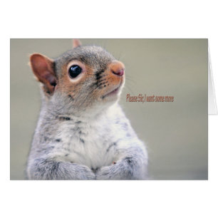 Oliver Twist Squirrel