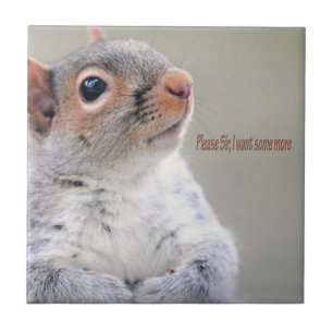 Oliver Twist Squirrel Ceramic Tile