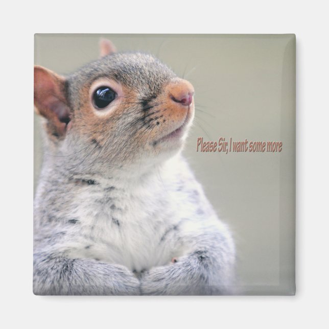 Oliver Twist Squirrel Magnet (Front)