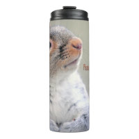Oliver Twist Squirrel