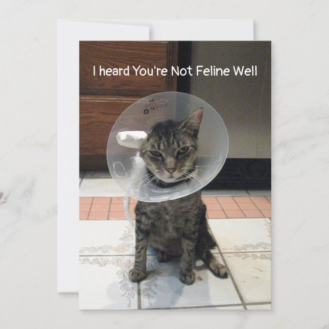 Oliver's Not Feline Well - Cat Get Well Flat Card (Front)
