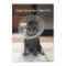 Oliver's Not Feline Well - Cat Get Well Flat Card