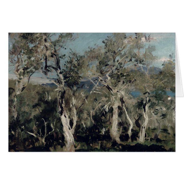 Olives, Corfu, 1912 (Front Horizontal)