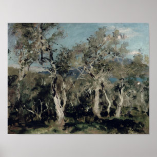 Olives, Corfu, 1912 Poster