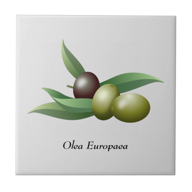 Olives Green Leaves  Ceramic Tile (Front)