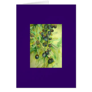 olives, summer, sun,