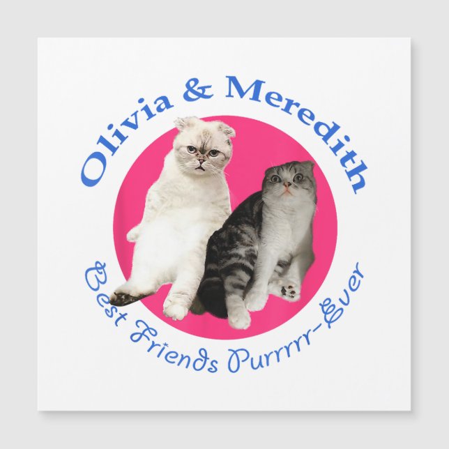 Olivia & Meredith - Best Friends Purrrr-Ever  (Front)