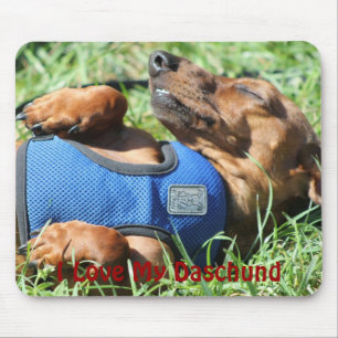 Olli the Daschund Mousepad