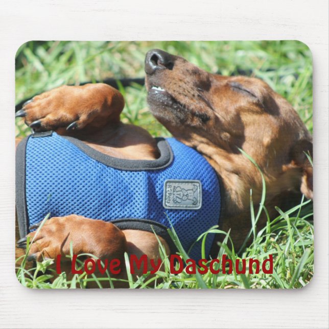 Olli the Daschund Mousepad (Front)