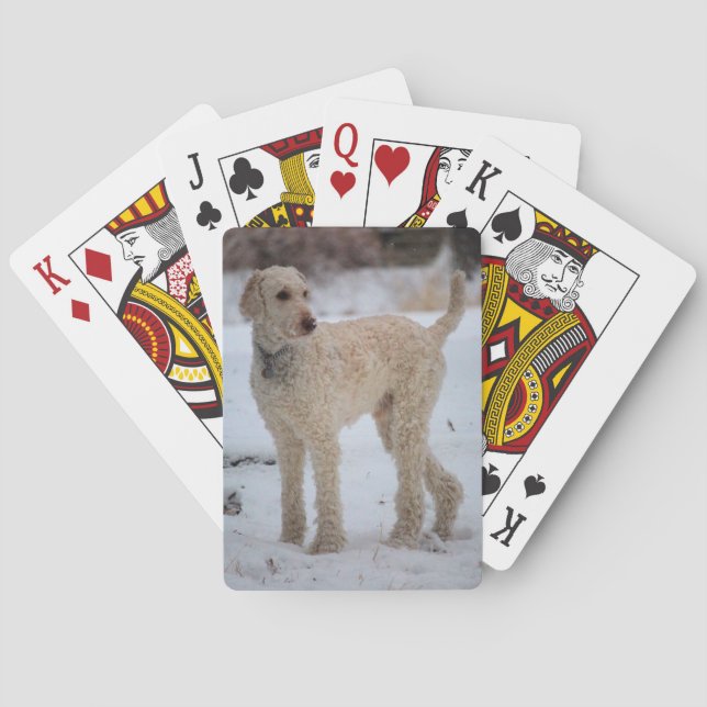 Ollie Playing Cards (Back)