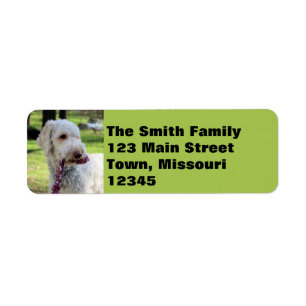 Ollie Return Address Label